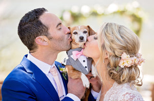How to Include Your Furry Friend at Your Wedding