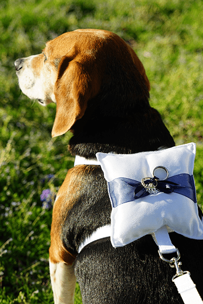 Wedding Ring Bearer Pillow for Dogs - Wedding Accessories for Pets